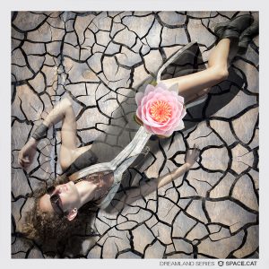 original wall art poster by ALLY