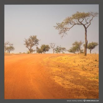 original wall art poster from ALLY art shop