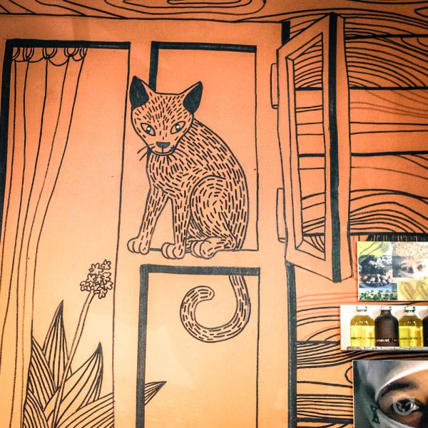 space.cat_wallpainting-2.jpg wall art painting by Ally