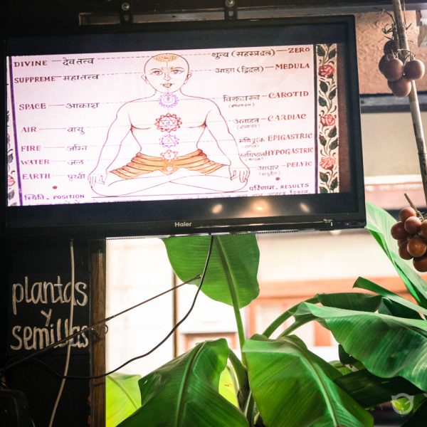 space.cat_wallpainting-2-copy-2.jpg style and design