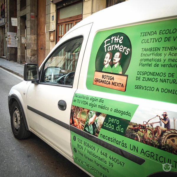 space.cat_wallpainting-3-copy.jpg branding and visual identity by Ally