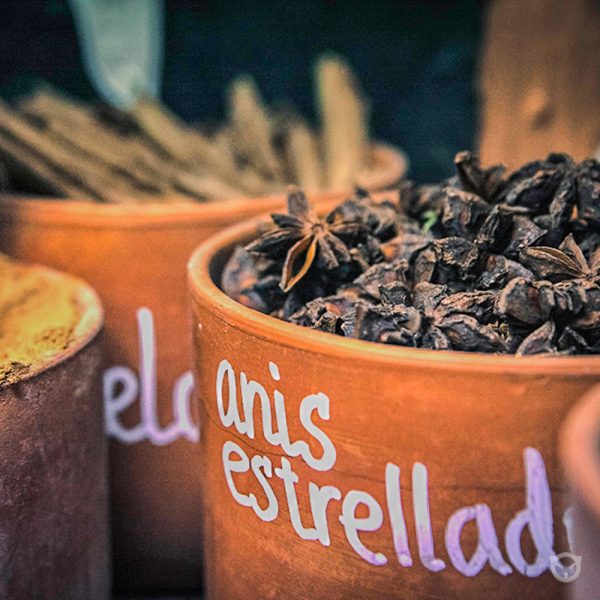 space.cat_wallpainting-4.jpg branding and visual identity by Ally