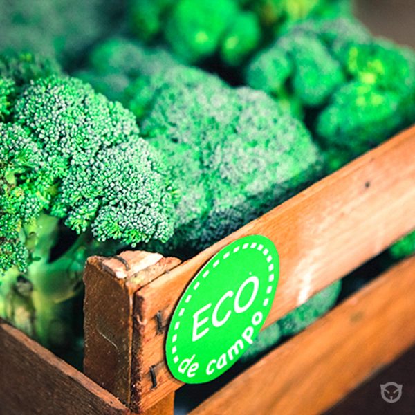 space.cat_wallpainting-copy-2.jpg branding and visual identity by Ally